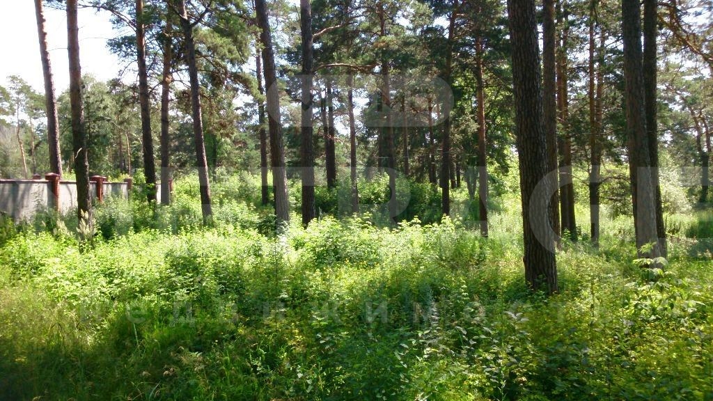  земельного участок 21,54 сот.